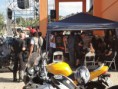 /album/evento-de-mariana/mariana-vira-latas-6-jpg/
